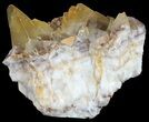 Dogtooth Calcite Crystal Cluster - Morocco #61234-1